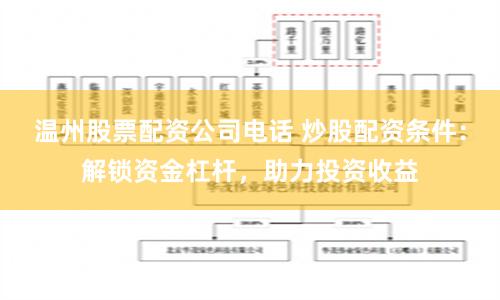 温州股票配资公司电话 炒股配资条件：解锁资金杠杆，助力投资收益